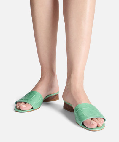 ARC FLAT